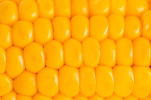 Extreme closeup of corncob.