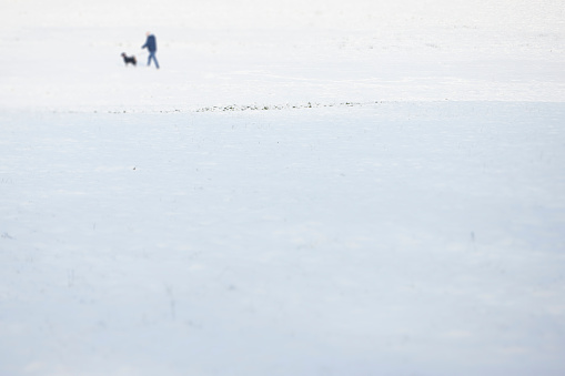 snowy landscape, person with dog walking in the snow
