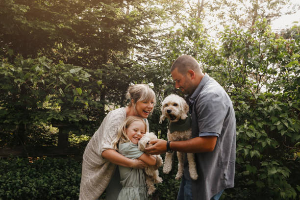 istock Family with Dogs 1960659935