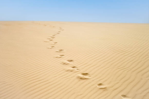 Waves of orange sand on top of the dunes.Dunes in the desert.Arid desolate landscape.Footprints in the sand.Structure of waves in the desert sand.