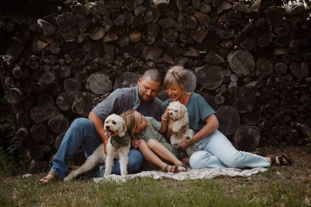 istock Family with Dogs 1960697323