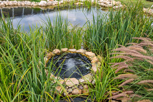 istock Landscape with small lake and open well 1960699415