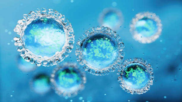 Disease X new pathogen cells Disease X new pathogen cells - 3d rendered image. Abstract background.
Measles morbillivirus structure
Virus, pathogen, bacteria, biotechnology, bacterium, biolaboratory, new X disease, brain illness concept. Microscopic SEM (TEM) hologram view. Medical research technology. X chromosomes objects.
Synthetic biology project. measles stock pictures, royalty-free photos & images