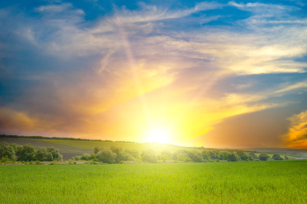 istock Beautiful sunrise over green field. Blue sky and clouds. 1960751709