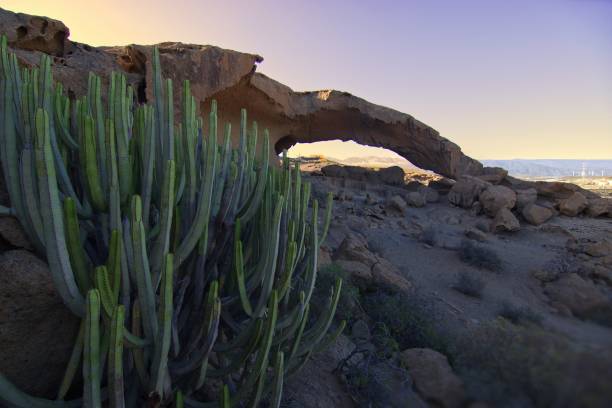 istock The peak of fire, Tenerife 1960797758