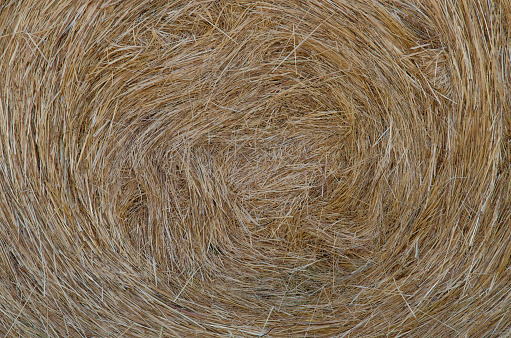 Hay as background or copy space. Dry Baled Hay Bales Stacks Banner, Straw Texture with Copy Space for text.