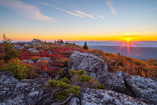 The sun rises over the Allegheny Front and washes over the red blueberry bushes in Autumn among the boulder fields of the Dolly Sods Wilderness Area of West Virginia.