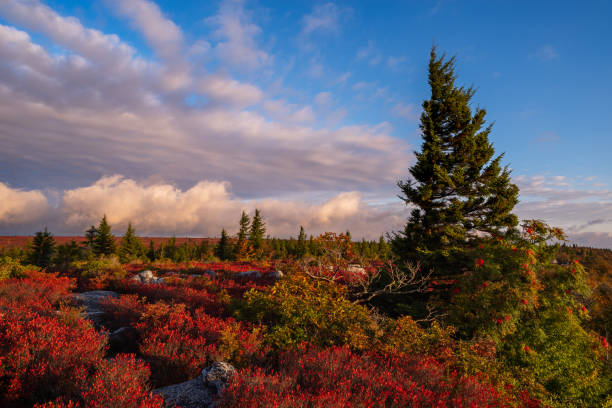 istock Bear Rocks Autumnal Reds 1960837442
