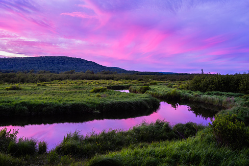 Dusk sets the dramatic cloudy sky lit in purple hues, reflecting off the Blackwater River surrounded by green grasses in Canaan Valley State Park, West Virginia.