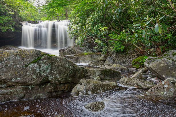 cascada big run - monongahela national forest landscapes nature waterfall fotografías e imágenes de stock