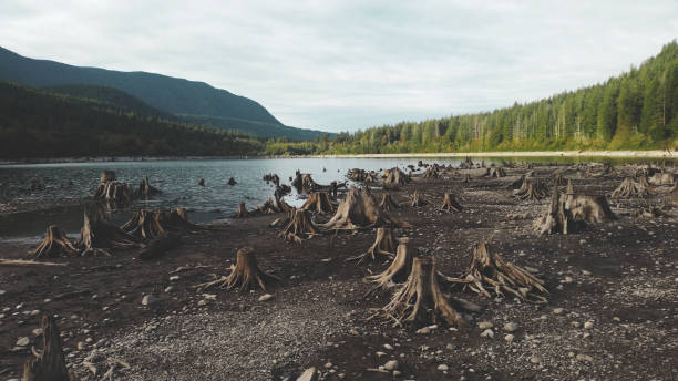 istock Rattlesnake Lake adventures 1960863070
