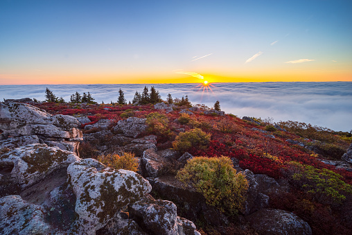 The morning sun peaks out of the ocean of fog settled into the lower valley below the autumnal mountain landscape on top of the Dolly Sods Wilderness Area in West Virginia.