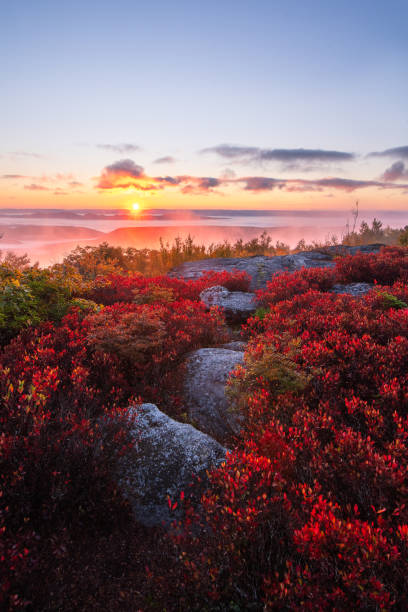 istock Bear Rocks Autumn Dawn 4 1960875516