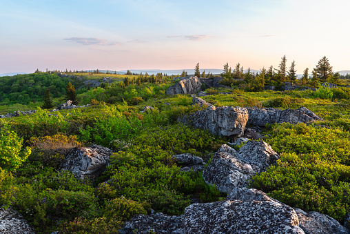 The low evening sun brushes against the line of boulders extending across the vast eastern plains of the Dolly Sods Wilderness Area in West Virginia.