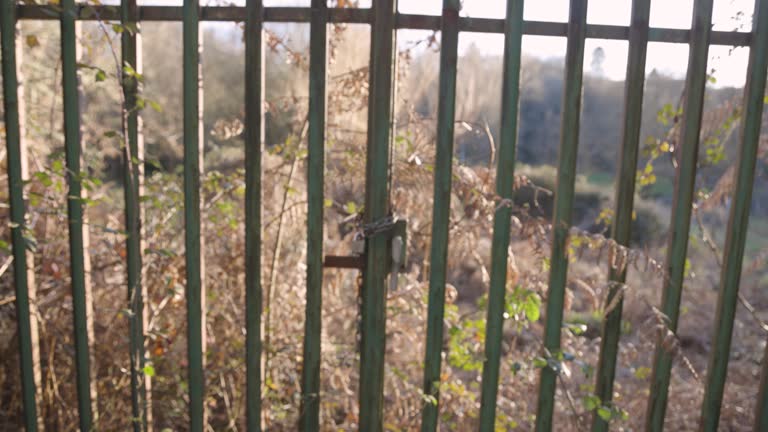 Metal bar gate with locked padlock and chain to garden