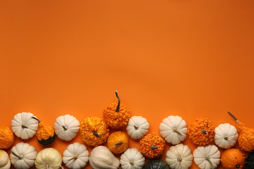 Dark Halloween background with Jack O'Lantern and pumpkins
