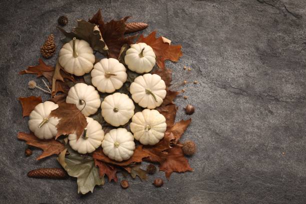 istock Flat lay composition with ripe pumpkins on grey textured table. Space for text 1960971144