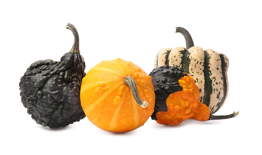 Different fresh ripe pumpkins isolated on white