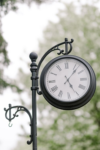 A vertical shot of a vintage old street clock near lush trees in a park