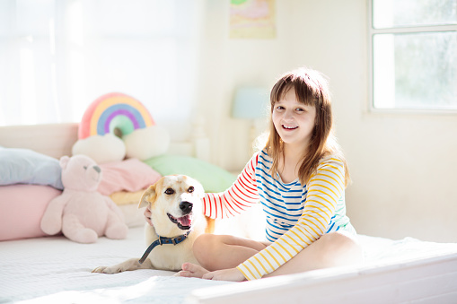Child playing with dog. Girl and large dog relaxing on white bed at home. Children and friendship. Kids play with puppy. Kid hugging pet. Animal care. Sunny morning, family time.