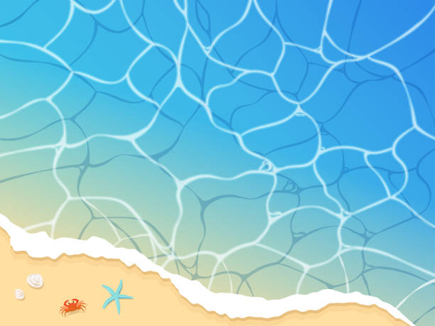 ilustraciones, imágenes clip art, dibujos animados e iconos de stock de fondo de la imagen del mar de verano, la playa de arena y las criaturas marinas - starfish abstract backgrounds wave pattern