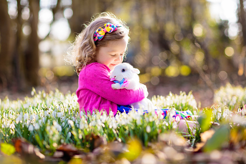 Child playing with white rabbit. Little girl feeding and petting white bunny. Easter celebration. Egg hunt with kid and pet animal. Children and animals. Kids take care of pets. Spring Easter garden.