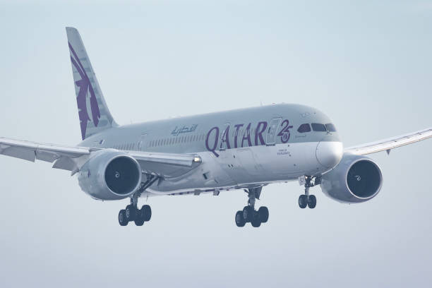 카타르항공 보잉 787-8 드림라이너(25년 전통의 우수성 상징 도색) 바츨라프 하벨 프라하 공항의 reg:a7-bcy - boeing 787 qatar airways airplane aerospace industry 뉴스 사진 이미지