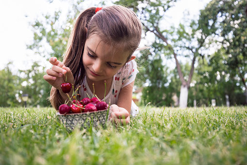 Cute little girl holding bowl of cherries. Concept of healthy eating.