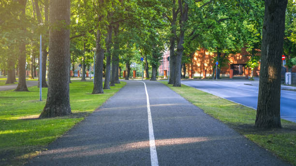 istock A road with trees and grass in summer day 1961138208