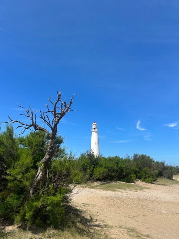 Lighthouse, blue sky, high contrast. Dry tree, atmospheric frame