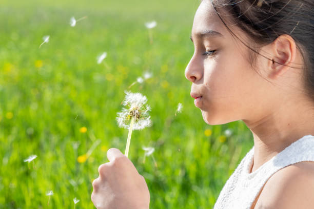 istock Girl blowing dandelion seed in meadow 1961186755