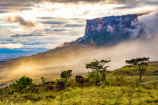Landscape with Mount Roraima Venezuela, South America