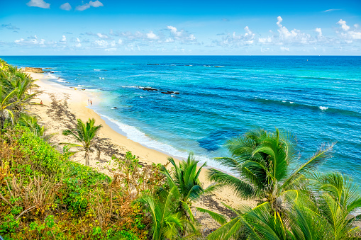 Beach Landscape in San Juan, Puerto Rico on a sunny day.