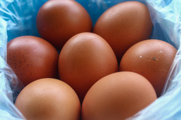 close up of chicken eggs in a bowl with plastic