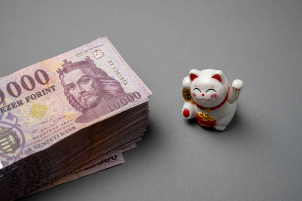 istock Hungarian HUF 10,000 forint banknotes are spread out and sorted on a gray table. On it is a waving Maneki-neko. Large denominations, Inflation and financial situation in Hungary. 1961247468