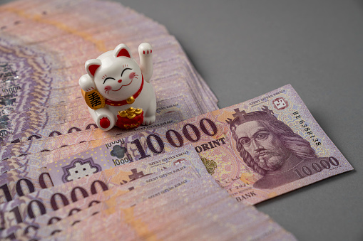 Hungarian HUF 10,000 banknotes are spread out on a gray table and sorted. It has a waving lucky cat (Maneki-neko). Large denominations, Inflation and financial situation in Hungary.