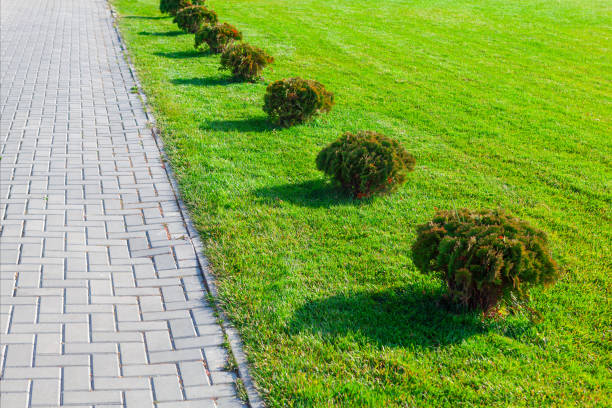 istock Green grass and cobblestone walkway in the park 1961249022