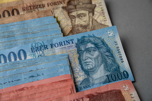 On a gray table, Hungarian forint paper money is spread out and sorted. Large denominations, Inflation and financial situation in Hungary.