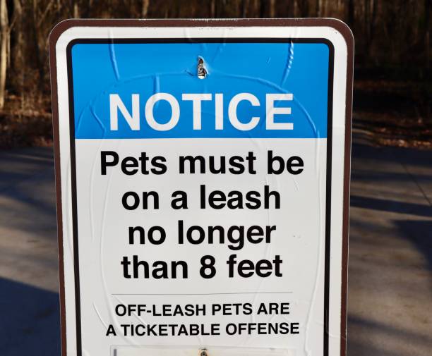 istock Blue and White Notice Sign 1961334148