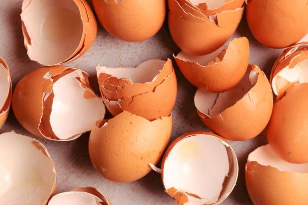 istock Group photo of broken brown eggs with warm light. Food concept. 1961341147