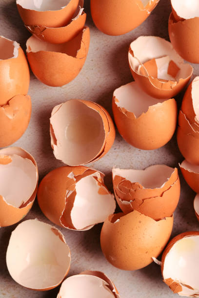 istock Group photo of broken brown eggs with warm light. Food concept. 1961341234