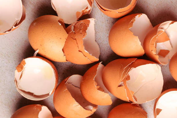 istock Group photo of broken brown eggs with warm light. Food concept. 1961341235