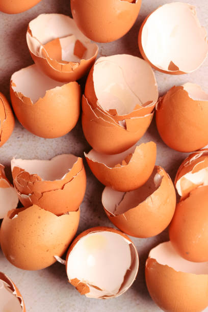 istock Group photo of broken brown eggs with warm light. Food concept. 1961341253