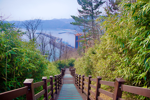 Samcheok City, South Korea - December 28, 2023: A view from the wooden stairs showing Imwon Port's breakwater along the East Sea coast, accompanied by bamboo alongside the path.