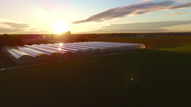 AERIAL Sunset Glow: Aerial View of Greenhouse on Vibrant Agricultural Field