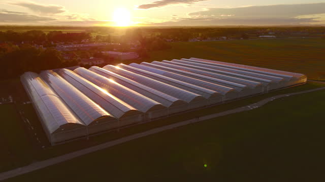 SPEED RAMPING AERIAL Sunset Glow: Aerial View of Greenhouse on Vibrant Agricultural Field