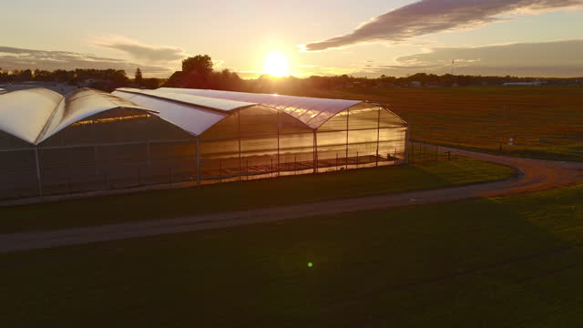 AERIAL Golden Glow: Aerial View of Greenhouse Bathed in Sunset Radiance