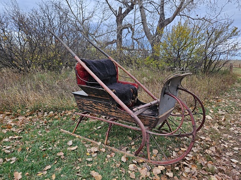 Old and weathered antique black wooden horse drawn sleigh sitting outdoors on a farm in autumn.