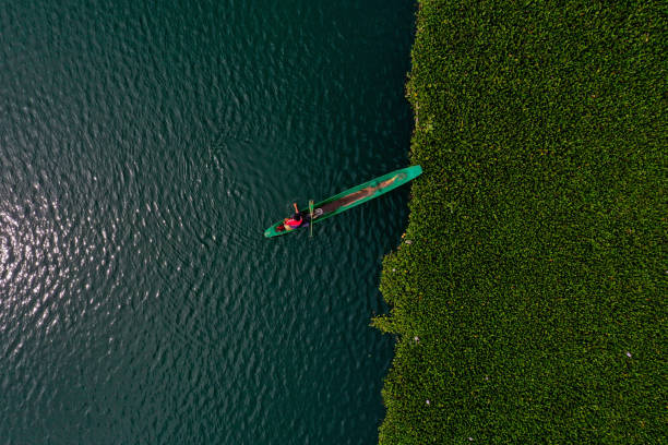 istock view of Takengon Lake 1961381566