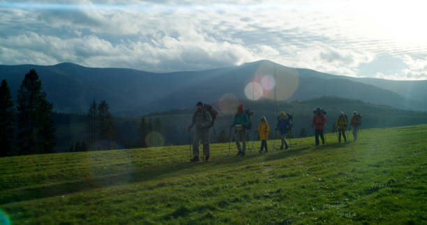 Full shot of diverse group of tourists with trekking poles and backpacks going on trail to their campsite. Hiking buddies during trip or trek to mountains on vacation in autumn. Outdoor recreation